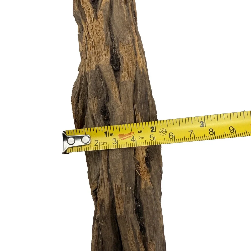 Tall California Driftwood Stick with Deep Grain & Natural Curves – Coastal Decor